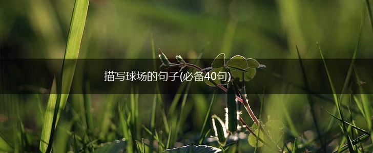 描写球场的句子(必备40句),第1张