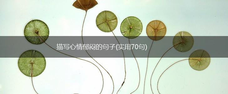 描写心情郁闷的句子(实用70句),第1张