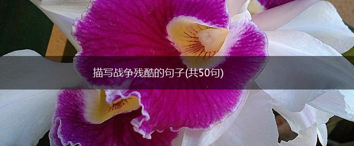 描写战争残酷的句子(共50句),第1张