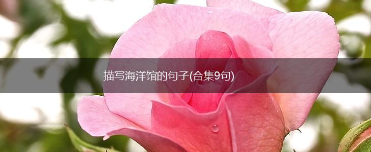 描写海洋馆的句子(合集9句),第1张