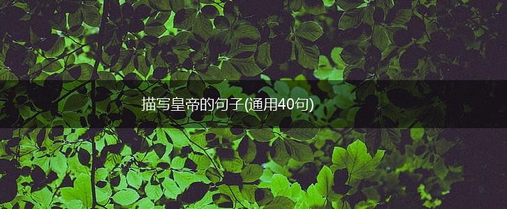 描写皇帝的句子(通用40句),第1张