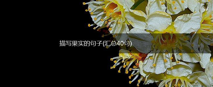 描写果实的句子(汇总40句),第1张