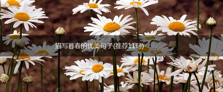描写暮春的优美句子(推荐11句),第1张