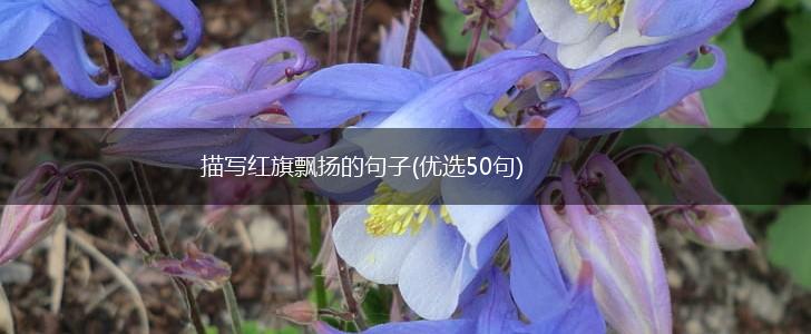 描写红旗飘扬的句子(优选50句),第1张