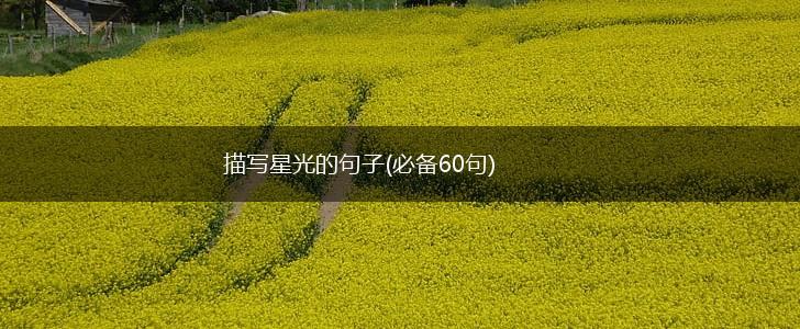 描写星光的句子(必备60句),第1张