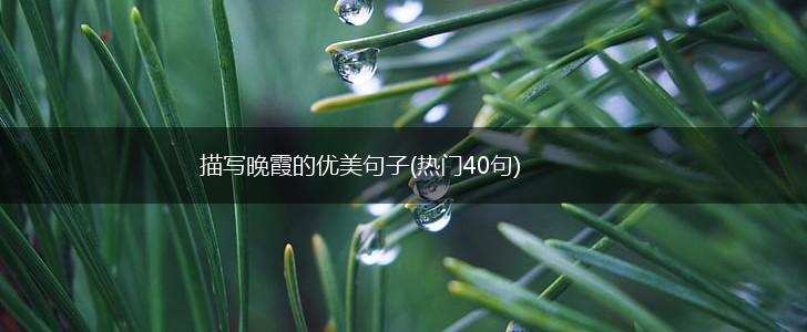 描写晚霞的优美句子(热门40句),第1张
