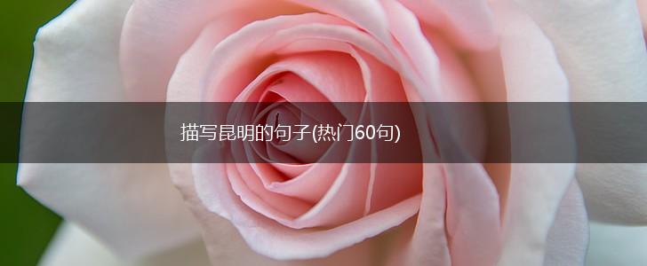 描写昆明的句子(热门60句),第1张