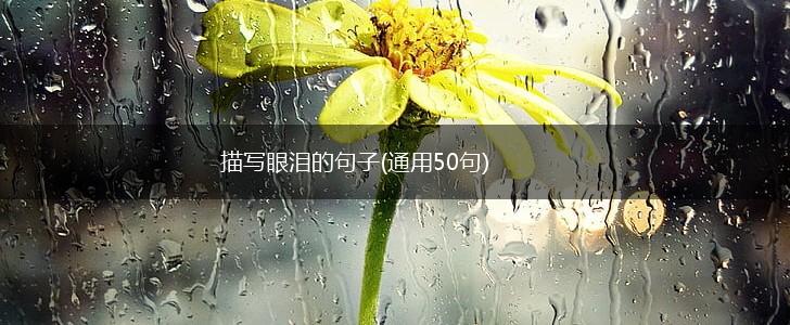 描写眼泪的句子(通用50句),第1张