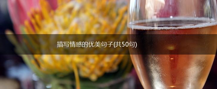 描写情感的优美句子(共50句),第1张