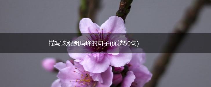 描写珠穆朗玛峰的句子(优选50句),第1张