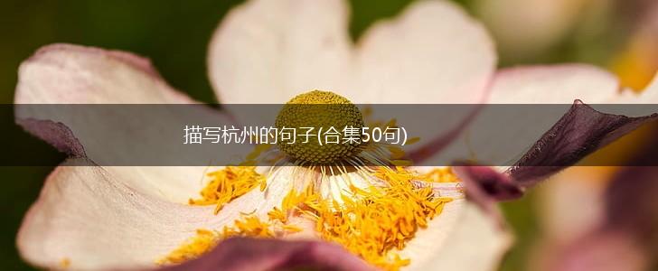 描写杭州的句子(合集50句),第1张