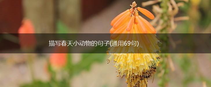 描写春天小动物的句子(通用69句),第1张