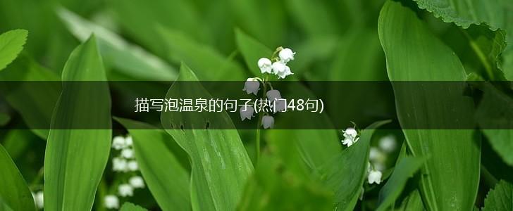 描写泡温泉的句子(热门48句),第1张