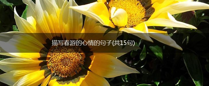 描写春游的心情的句子(共15句),第1张