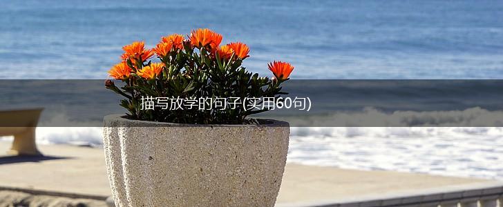 描写放学的句子(实用60句),第1张