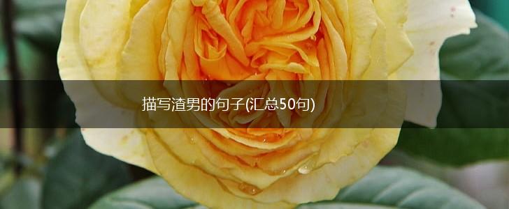 描写渣男的句子(汇总50句),第1张