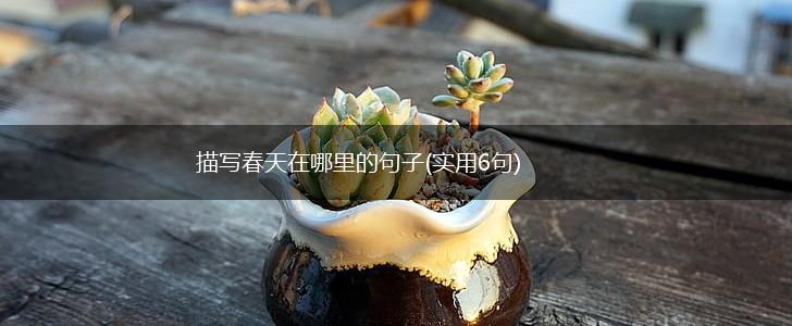 描写春天在哪里的句子(实用6句),第1张