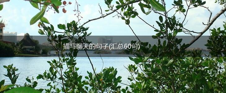 描写聊天的句子(汇总60句),第1张