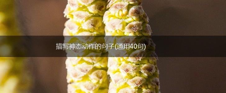 描写神态动作的句子(通用40句),第1张