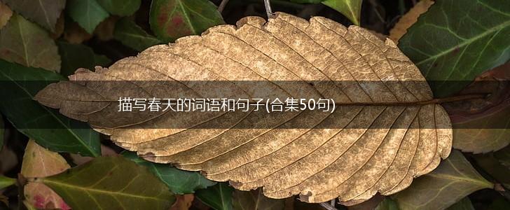 描写春天的词语和句子(合集50句),第1张