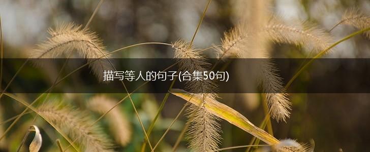 描写等人的句子(合集50句),第1张