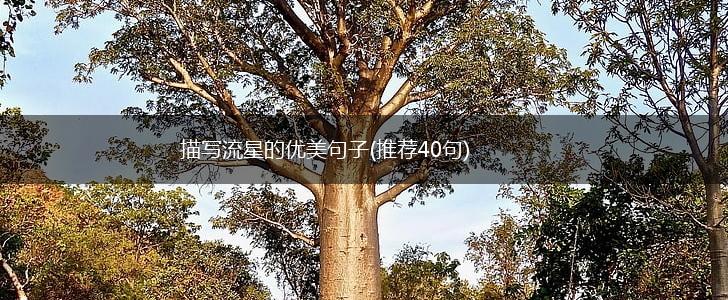 描写流星的优美句子(推荐40句),第1张