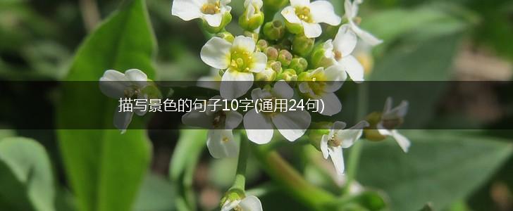 描写景色的句子10字(通用24句),第1张