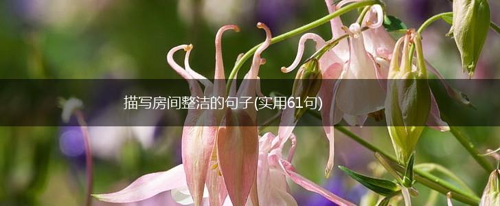 描写房间整洁的句子(实用61句),第1张