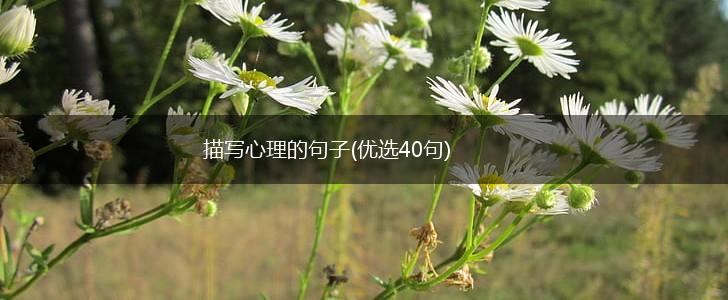描写心理的句子(优选40句),第1张