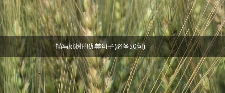 描写桃树的优美句子(必备50句),第1张