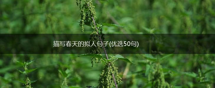 描写春天的拟人句子(优选50句),第1张