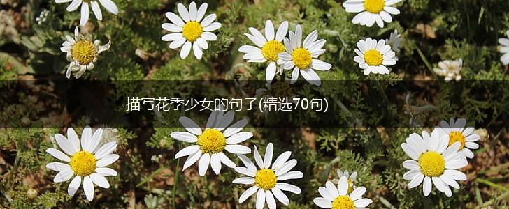 描写花季少女的句子(精选70句),第1张