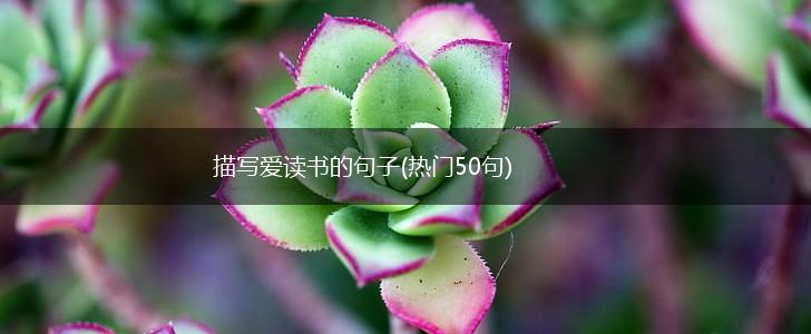 描写爱读书的句子(热门50句),第1张