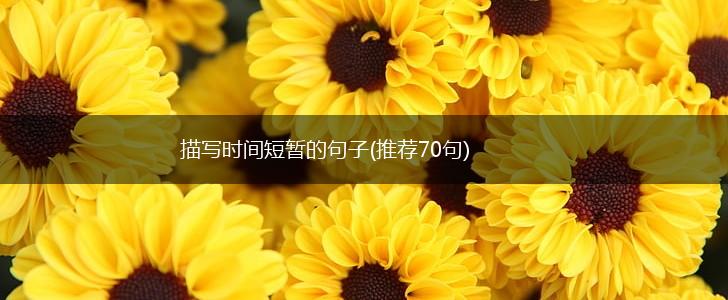 描写时间短暂的句子(推荐70句),第1张