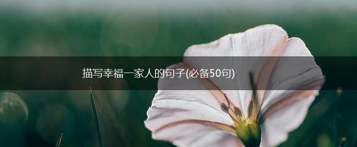 描写幸福一家人的句子(必备50句),第1张