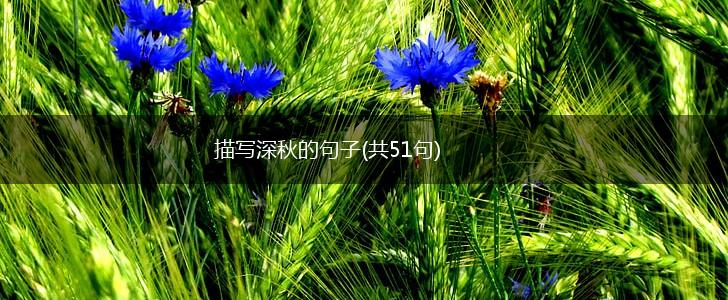 描写深秋的句子(共51句),第1张