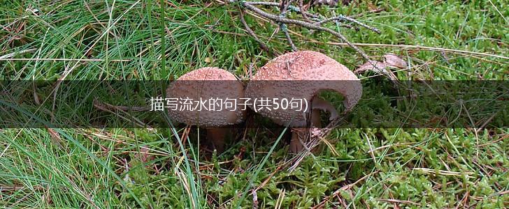 描写流水的句子(共50句),第1张