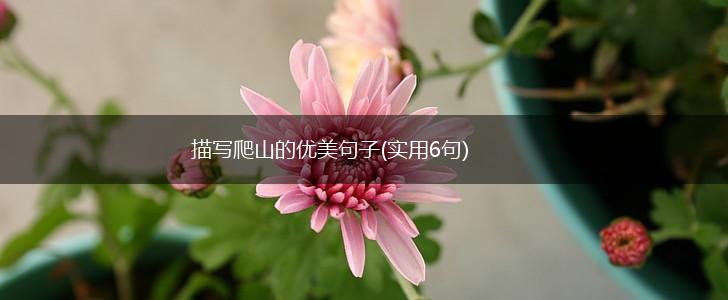 描写爬山的优美句子(实用6句),第1张