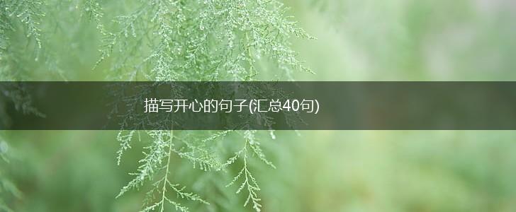 描写开心的句子(汇总40句),第1张