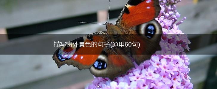 描写窗外景色的句子(通用60句),第1张