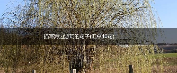 描写海边游玩的句子(汇总40句),第1张