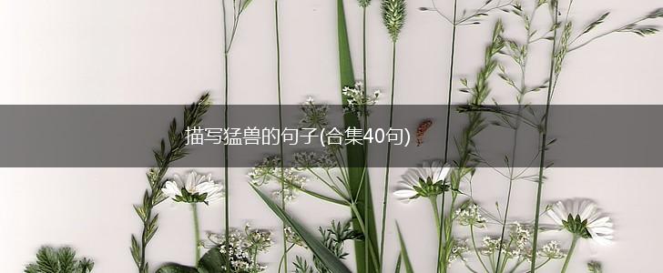 描写猛兽的句子(合集40句),第1张