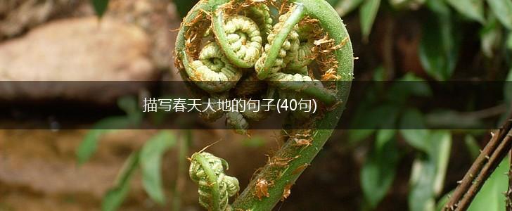 描写春天大地的句子(40句),第1张
