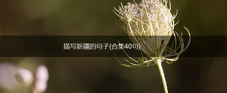 描写新疆的句子(合集40句),第1张