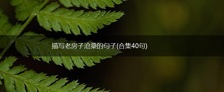 描写老房子沧桑的句子(合集40句),第1张