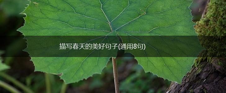 描写春天的美好句子(通用8句),第1张