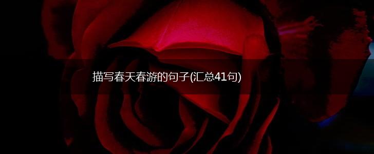 描写春天春游的句子(汇总41句),第1张