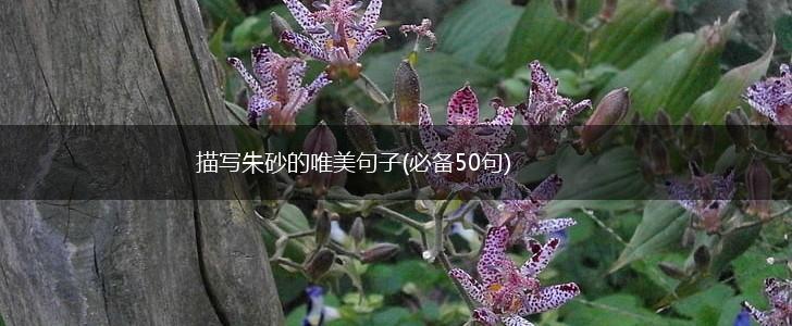 描写朱砂的唯美句子(必备50句),第1张