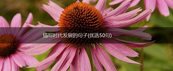 描写时代发展的句子(优选50句),第1张
