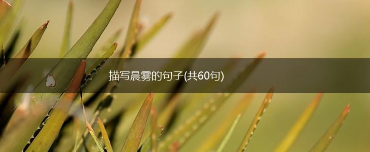 描写晨雾的句子(共60句),第1张